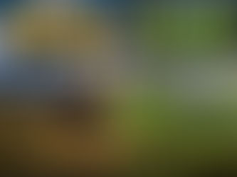 《一秒看懂!野生與培植冬蟲夏草 5 大辨識全攻略》