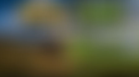 《一秒看懂!野生與培植冬蟲夏草 5 大辨識全攻略》
