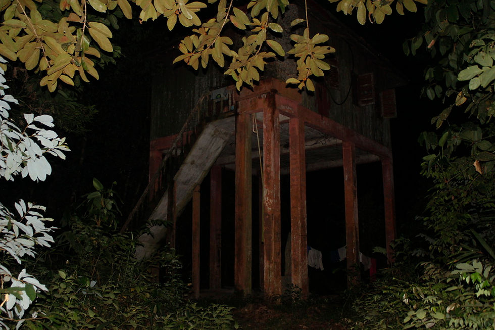 The Bumbun Kumbang hide deeply inside Taman Negara