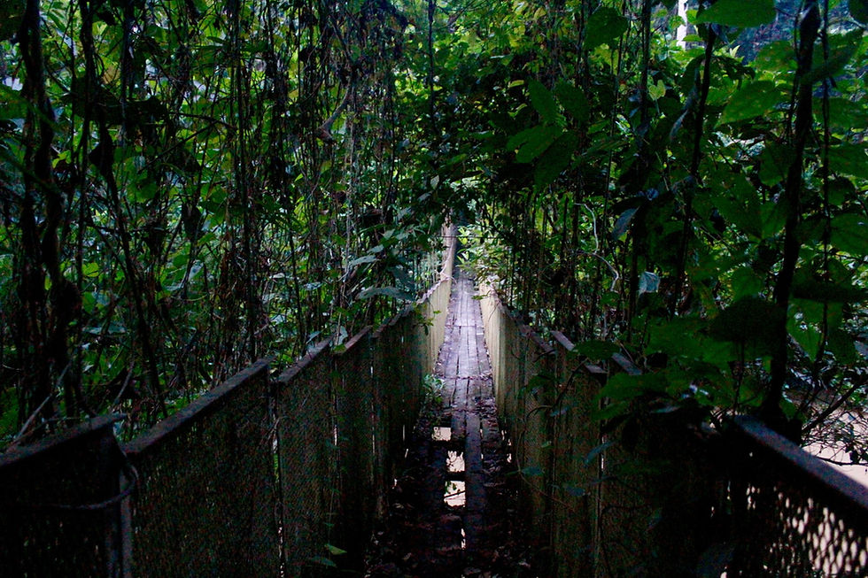 The Narnia's entrance gate I wished