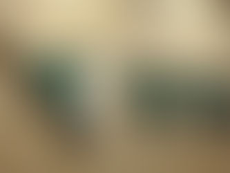 WBI Celebrates 30 Years