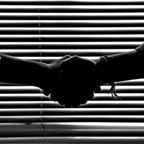 Cy Announces Redtail as Latest Integration, Streamlining CRM for Advisors