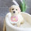 Thumbnail: PETITE MINI GOLDENDOODLE - Australia Import