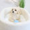 Thumbnail: SHIHPOO - Australia Import