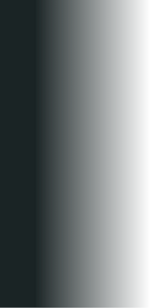 Black Gradient Overlay.png