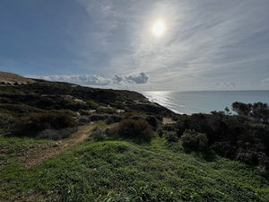 IMG_1034