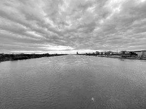 Danube, Vienna
