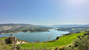 IMG_7418.jpeg