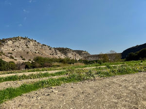 IMG_7267