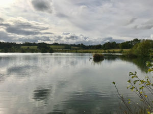 IMG_4474.jpeg