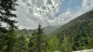 IMG_8519
