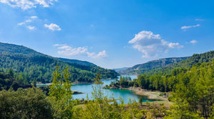 IMG_1046.jpeg