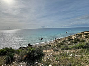 IMG_1069