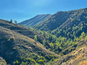 IMG_0835