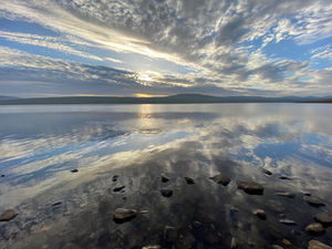 IMG_8105.jpeg