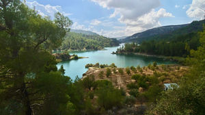 IMG_4236.jpeg