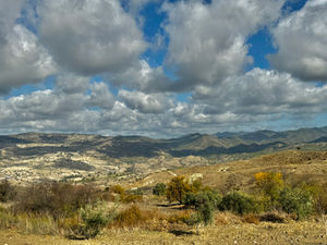 IMG_0659.jpeg