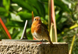 DSC_2428Ver2