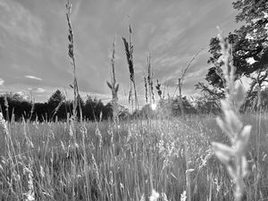 IMG_7269