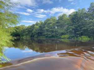 River Wear, at Witton