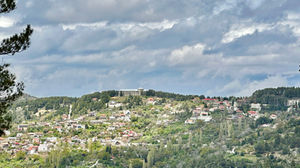 IMG_8841