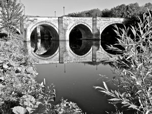 P1020482BW