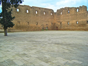 DSCF0366