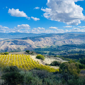 Miliou 9.4KM Circular