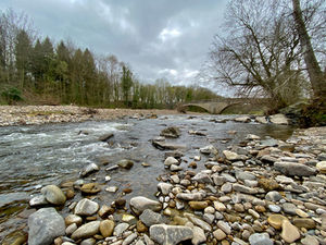 River Wear, near Witton