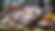 Firefly raw poultry delivery 49599.jpg