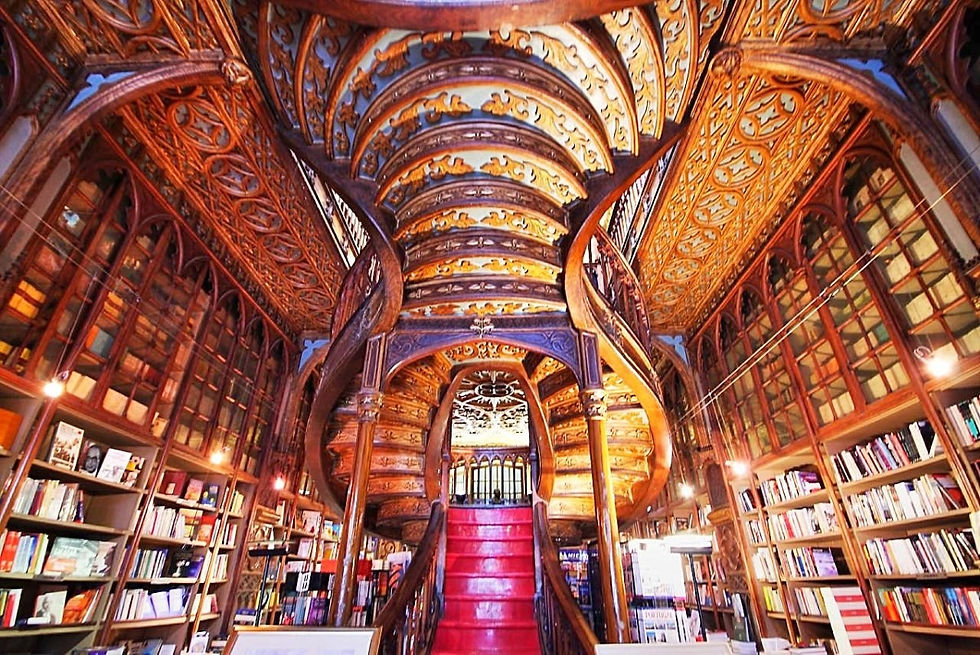 Lello Bookstore interior on private tours and transfers Porto