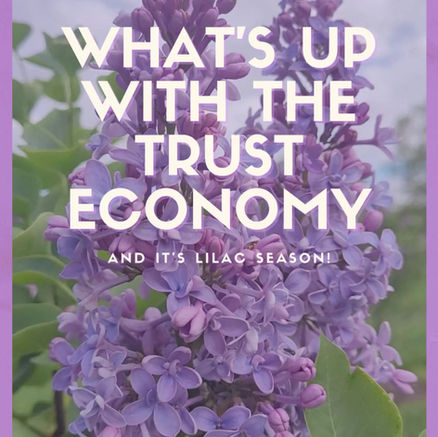 Blooming Connections: How Become. Media's CLUB Cultivates Trust in the New Economy