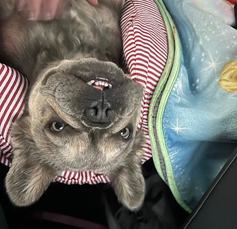 4c0125bf-03c0-4892-aee6-43dbc351258f.jpg (1).jpg