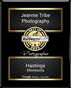 jeannie-tribe-photography-business of the year.png