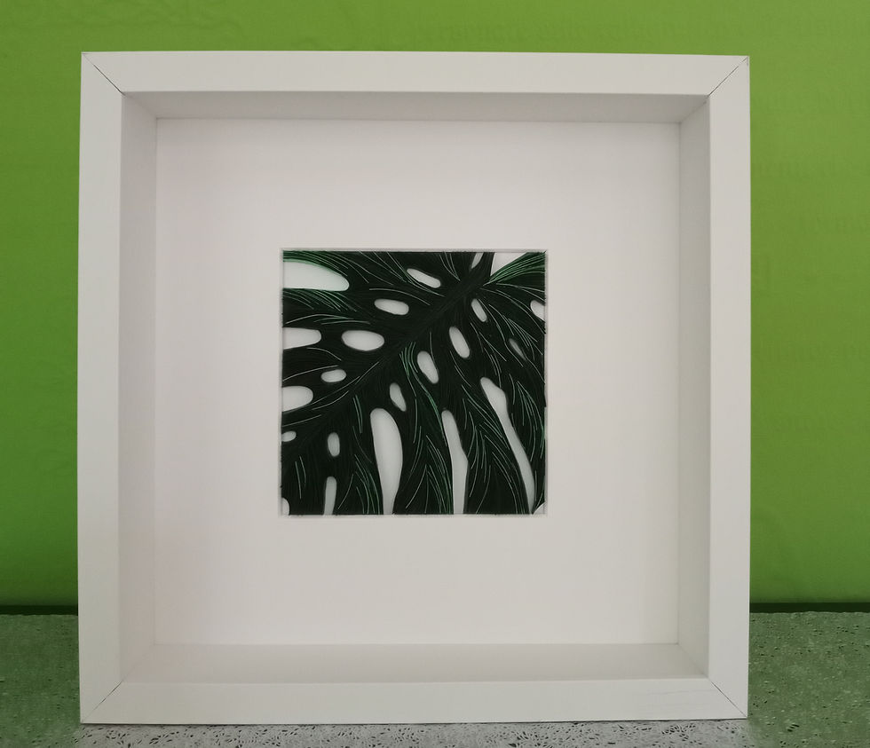 Framed Monstera quilling art