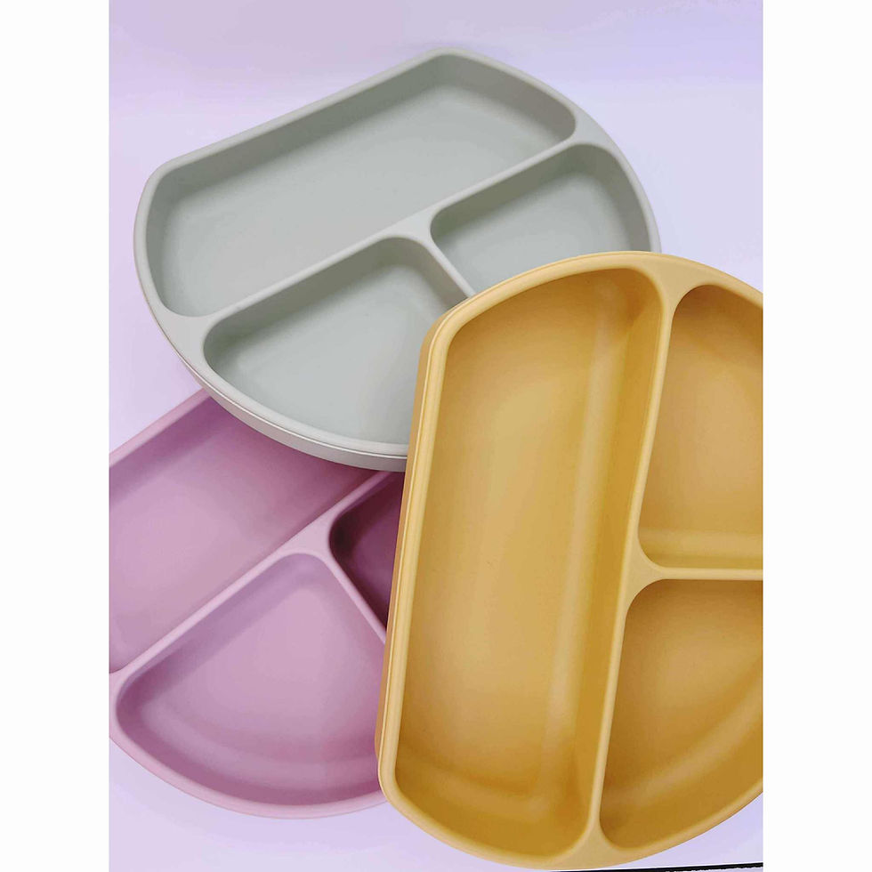 Silicone 3 Grid Plate with Lid