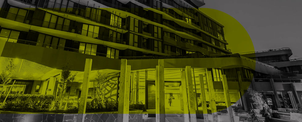 Drive_Health Check Website Header.jpg