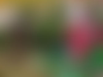 QUE VIVAN LOS CAMPESINOS Y CAMPESINAS DE COLOMBIA.
