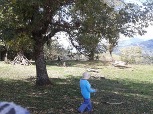 CAMPESINA