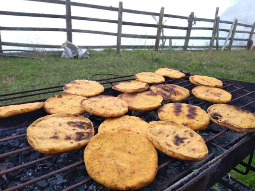 AREPA AMARILLA DE PURO MAIZ CRIOLLO PELADO