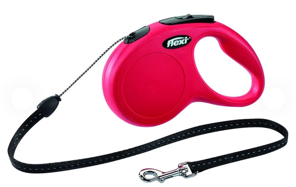 Miniature : FLEXI new CLASSIC - 5m