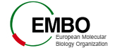 embo_logo2