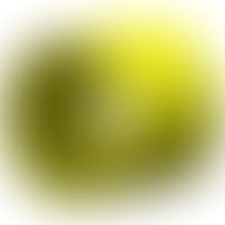 Exploring the Different Types of Bearings