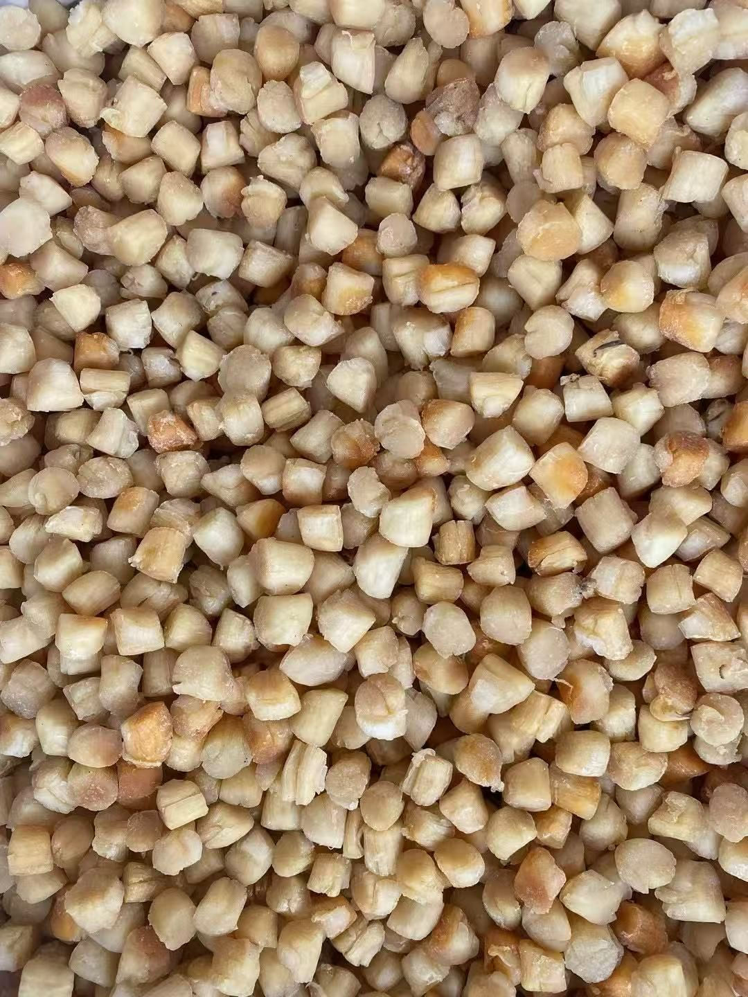 大連特大號乾貝(XL)NYY9192480