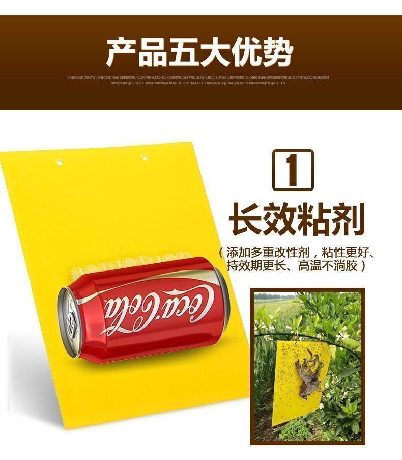 縮圖：粘蟲板2包