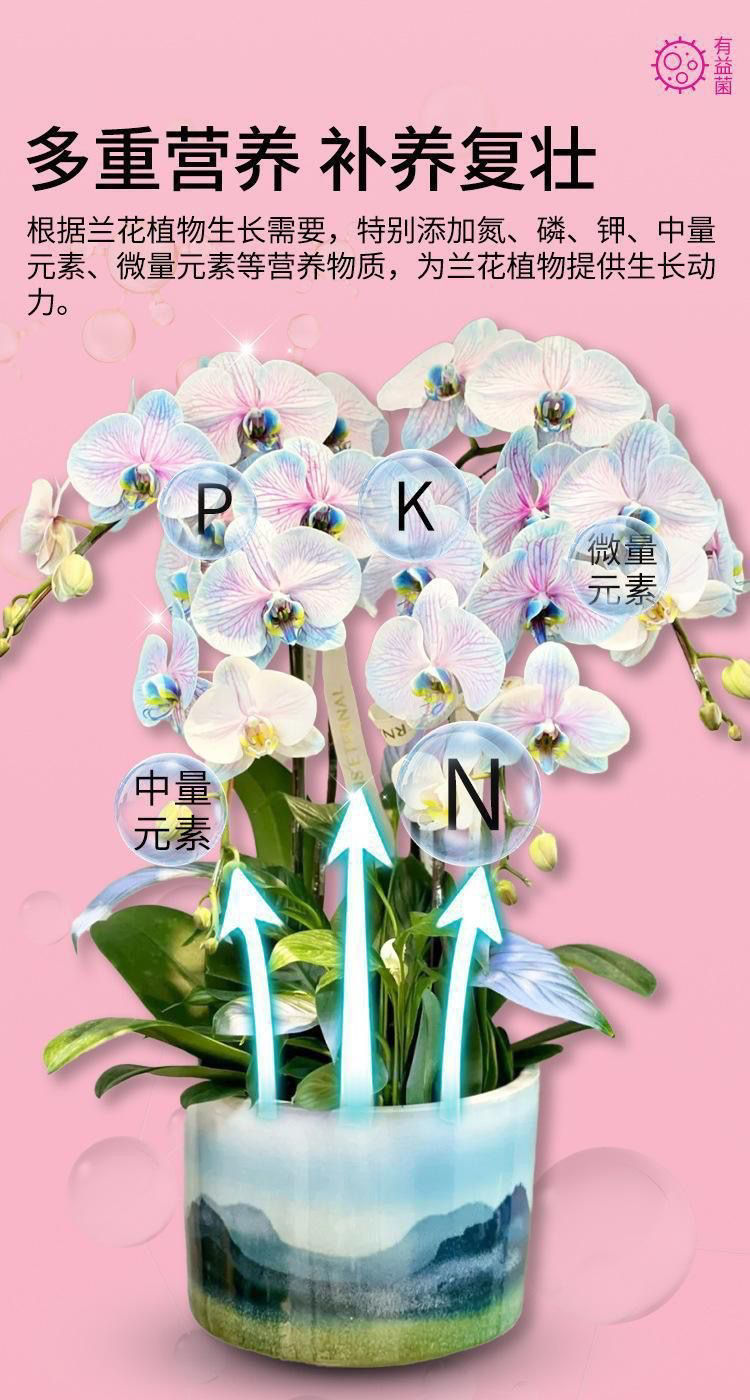縮圖：【郁花園 植物活菌粉】4罐