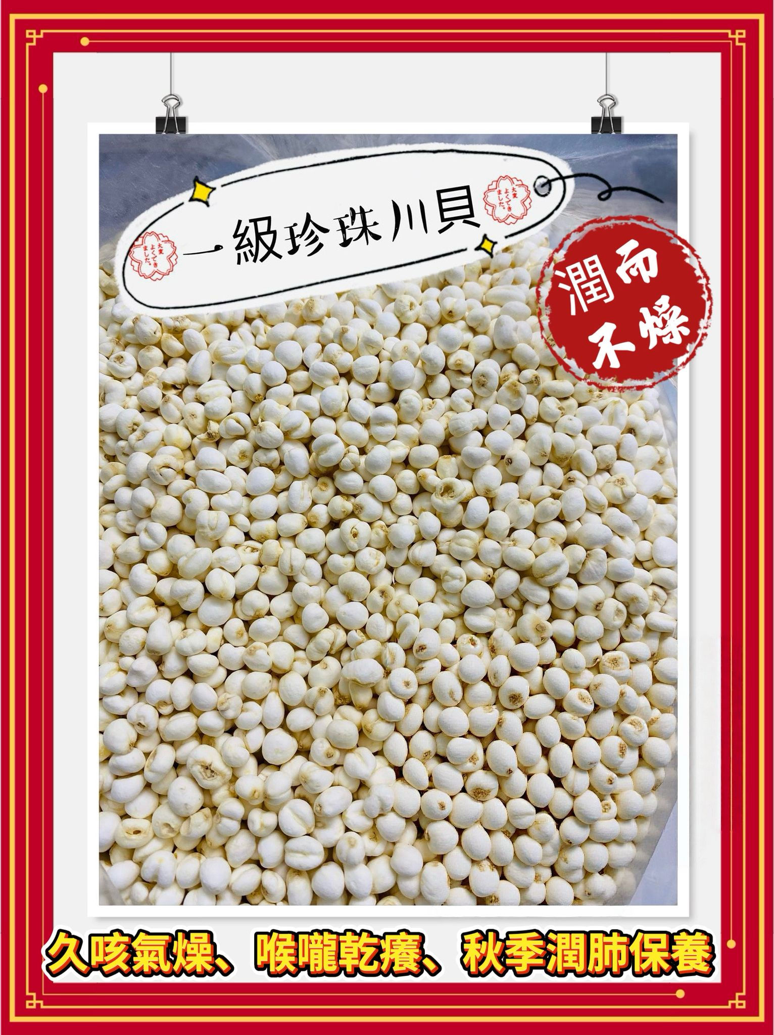 珍珠川貝四兩送羅漢果一個