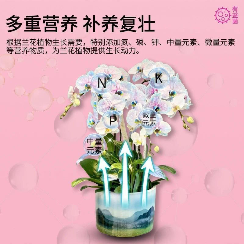 縮圖：【郁花園 植物活菌粉】4罐