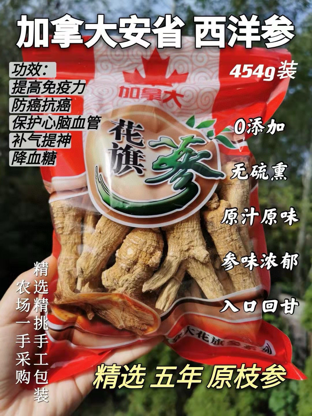 安省五年大原枝參3磅