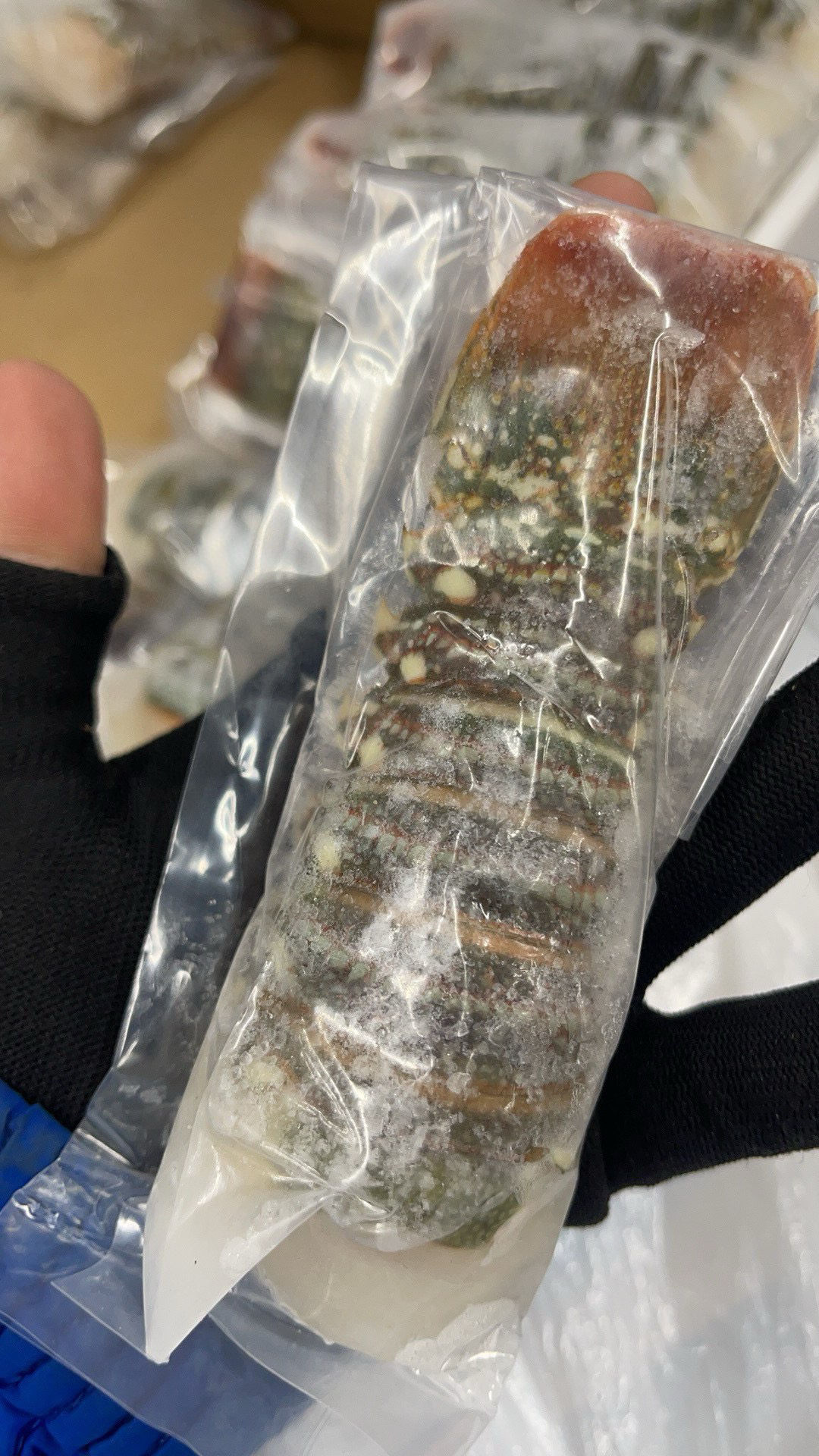 加勒比海【龍蝦尾】4oz 4隻NYY9303378